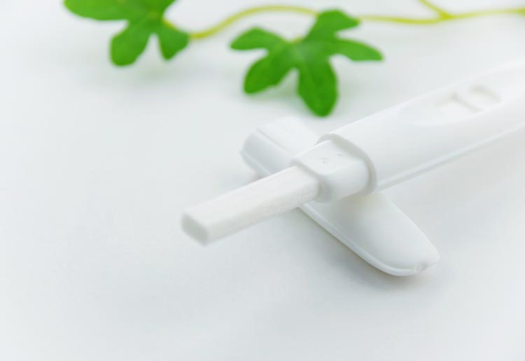 妊娠の診察のイメージ画像